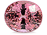 Malaia Garnet