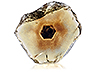 Sapphire Single Fancy Transparent