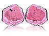 Tourmaline Pair (TM10995aa)