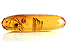 Amber Single Fancy Transparent