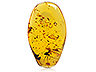 Amber Single Fancy Transparent