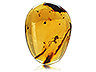 Amber Single Fancy Transparent