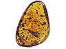 Amber Single Fancy Transparent