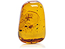 Amber Single Fancy Transparent