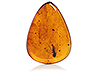 Amber Single Pear Transparent