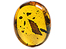 Amber