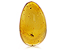 Amber Single Pear Transparent