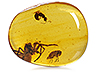 Amber