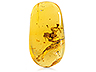 Amber Single (YAR134aa)