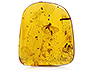 Amber Single Fancy Transparent