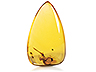 Amber Single Pear Transparent