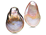 Freshwater Pearl Pair (YPL232aa)