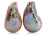 Freshwater Pearl